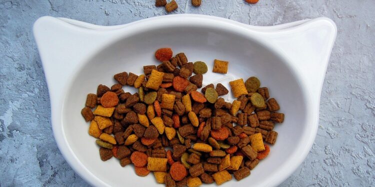 The Ultimate Guide to Safe and Healthy Cat Nutrition: What Can Cats Eat Besides Cat Food?