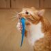 Feline Fun: The Ultimate Cat Toy Ball in a Ball Adventure!