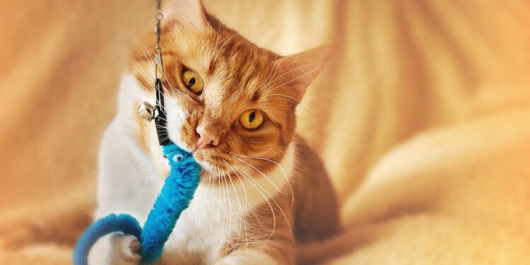 Purr-fect Playtime: Entertaining Toys to Cure Your Cat’s Boredom