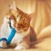Purr-fect Playtime: Entertaining Toys to Cure Your Cat’s Boredom