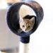 Purrfect Playtime: The Best Cat Water Toys to Keep Your Feline Friend Hydrated and Entertained