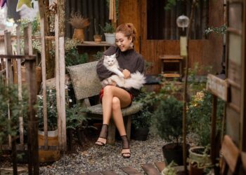 Purr-fect Companions: The Top Apartment Cats for Every Lifestyle