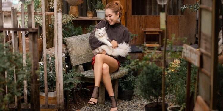 Purr-fect Companions: The Top Apartment Cats for Every Lifestyle